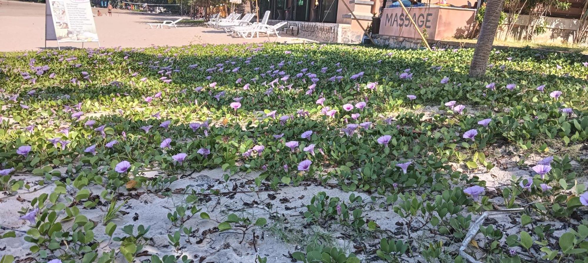 兰达夏日之家【SHA Plus+】 Ko Lanta 外观 照片